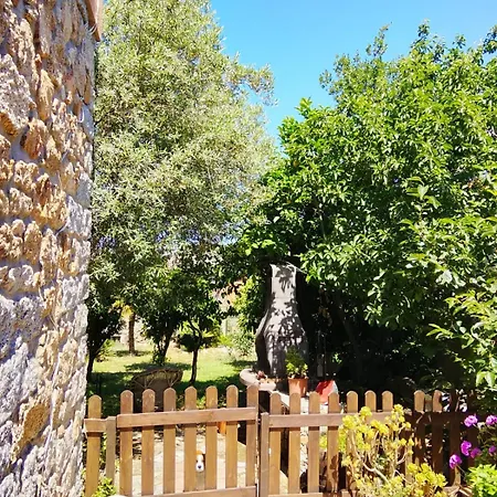 Bed & Breakfast L'amaca Della Felicita