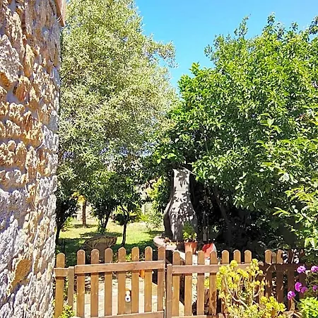 Bed & Breakfast L'amaca Della Felicita Monti